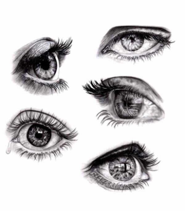 The Realistic Paintings By Shannon Perrie