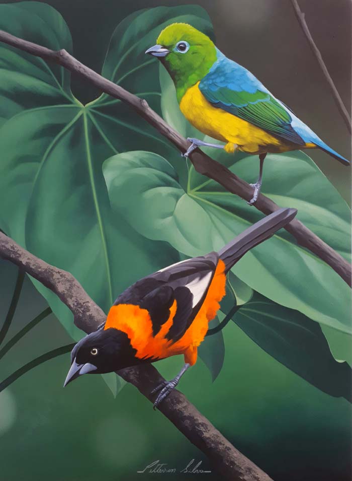 oil painting birds on branch. bird canvas wall art by Petterson Silva