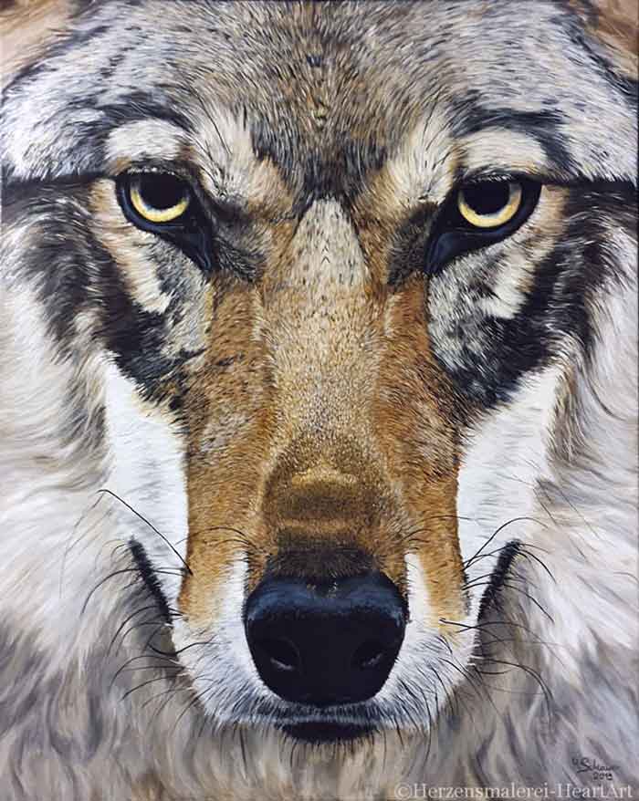 Animal wolf portrait