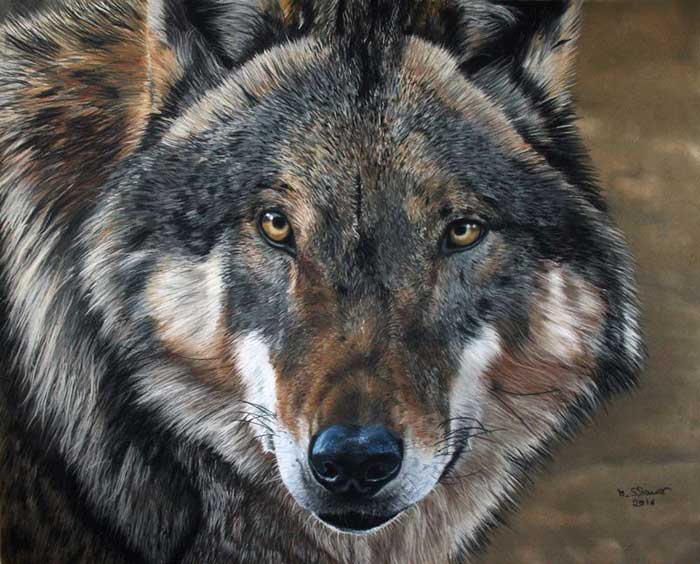 hyper realistic wolf pastel portrait