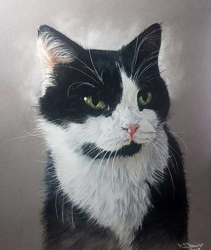 Affordable Cat Portraits