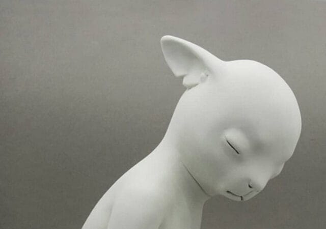 About The Hidden Life of Animals