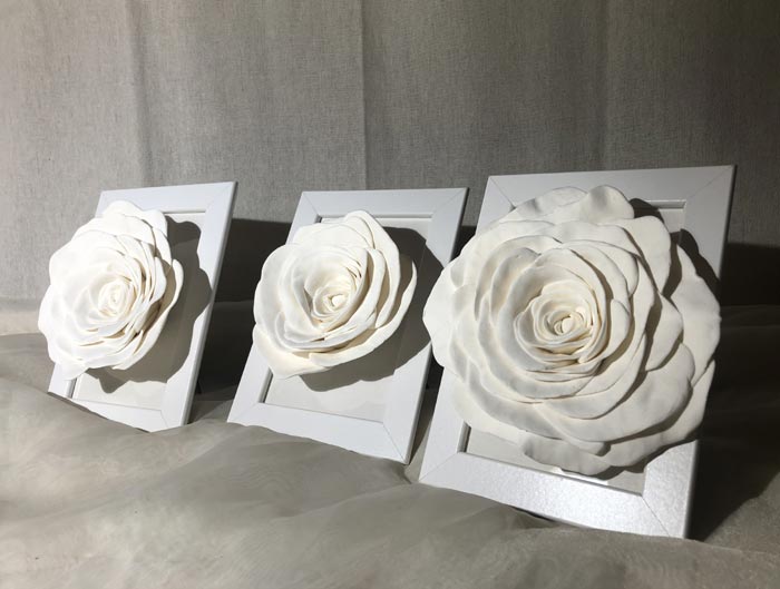 The three white Roses in a frame