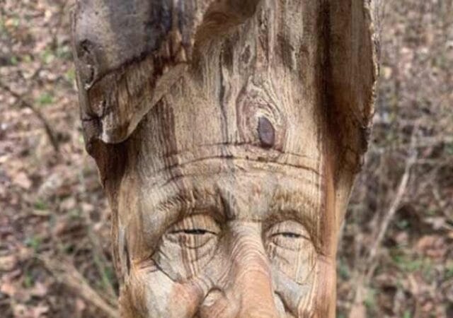 Wood Carving of a Face artwork by Josh Carte