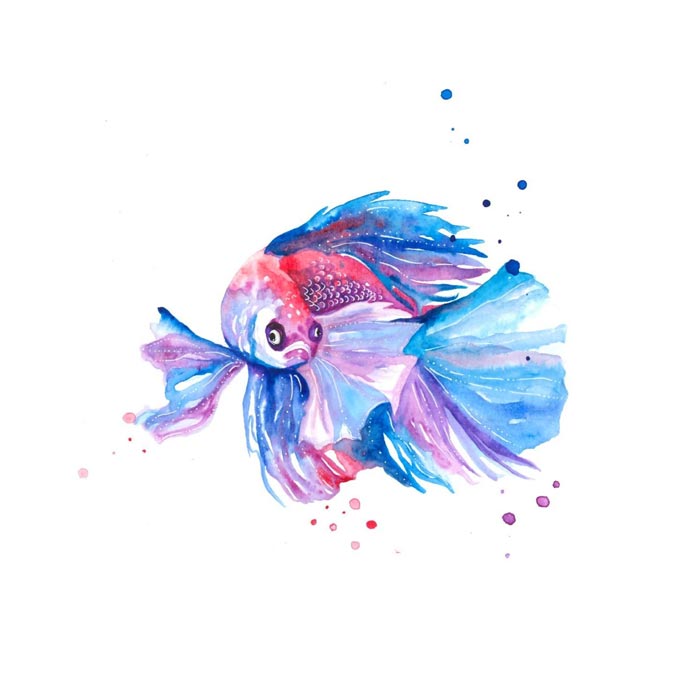 The Betta Fish watercolor painting on paper