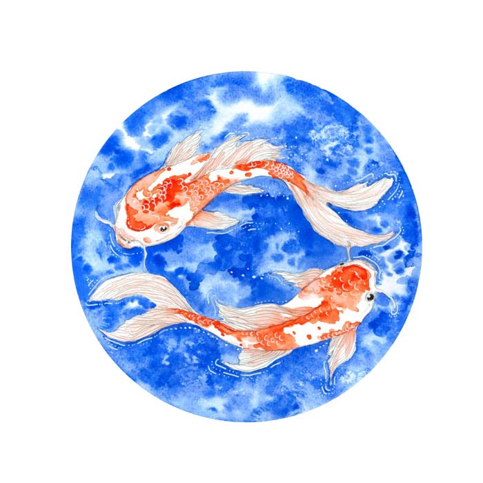The Red Koi Fish watercolor painting on paper