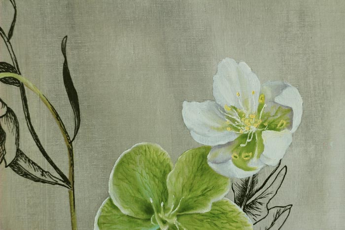Paintings the Beauty of Flowers With Soft pastels