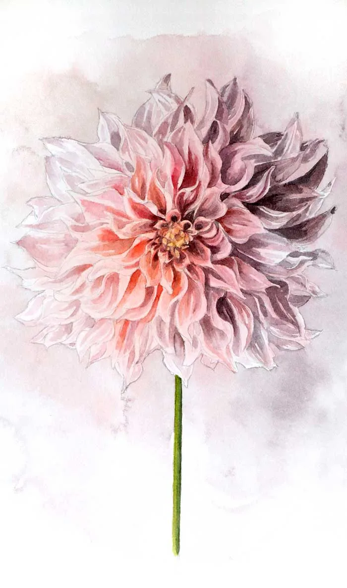 Watercolor painting flower Paintings the beauty of flowers with watercolor