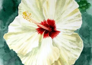 Creates beautiful watercolor paintings of flowers on Trendy Art Ideas