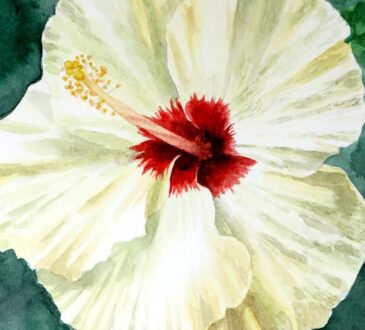Watercolor Paintings flowers