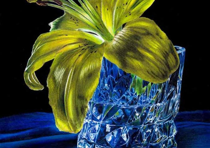 Realistic Flowers in Colored Pencil