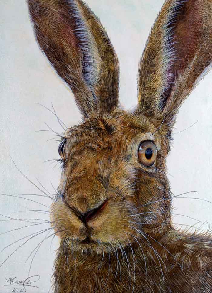 Hyper realistic rabbit portrait Artist Mike Kenyon