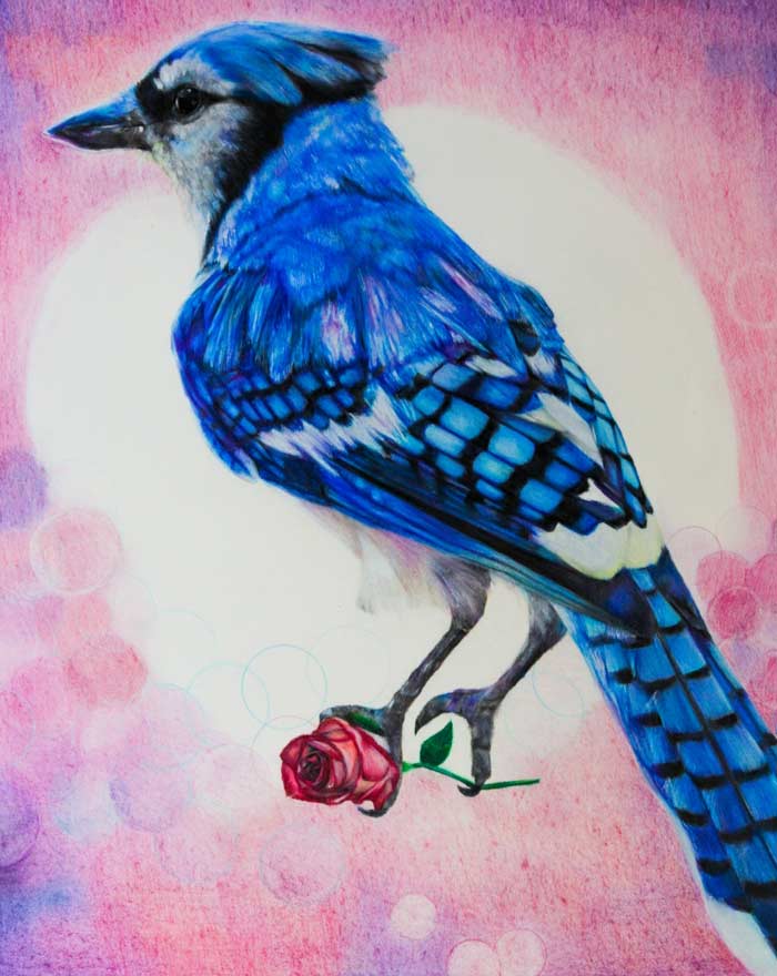 Blue Jay with rose painting