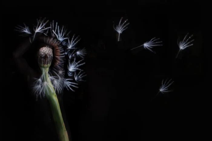 Dandelion body painting by Gesine Marwedel