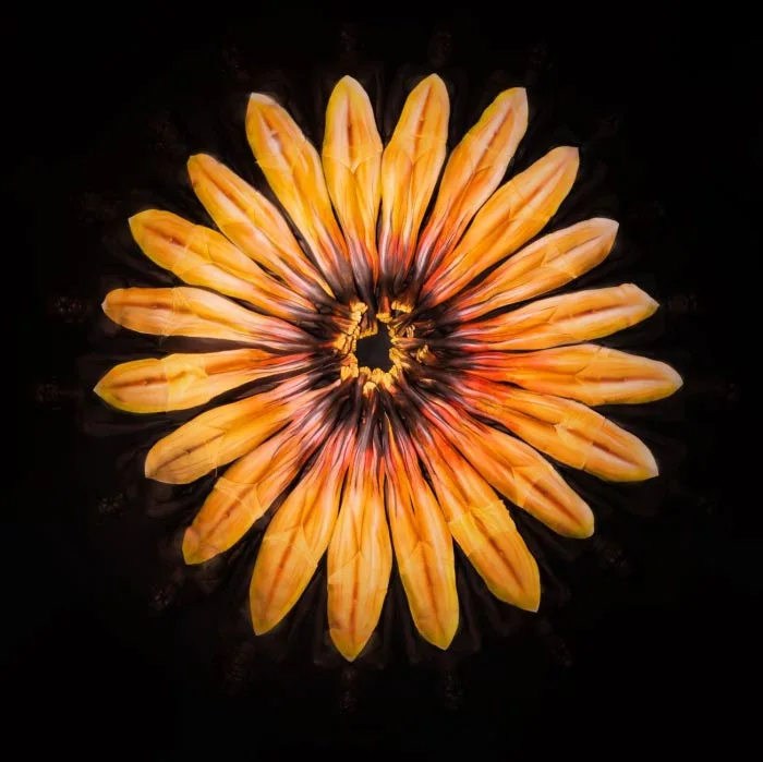 Flower Body Painting by Gesine Marwedel