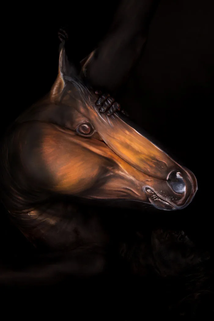 Horse body art by Gesine Marwedel