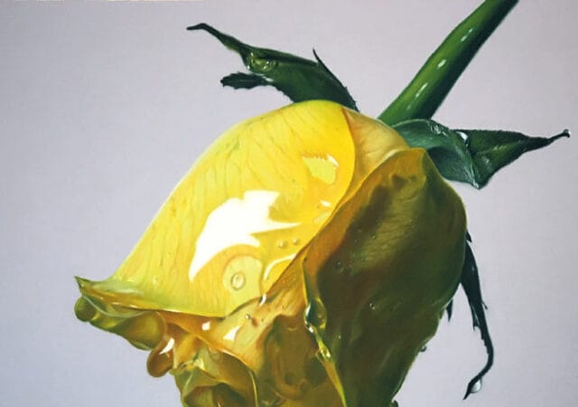 hyper realistic oil pastel drawings of flowers dripping honey