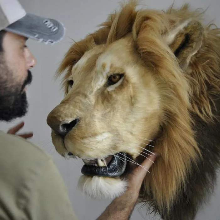 Lion Head Replica Handmade by Ami Zarug 