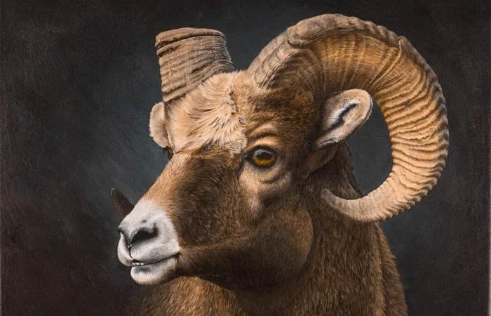 Animal Acrylic on canvas by Keri Fisher