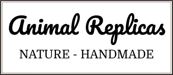 Animal Replics on Trendyartideas