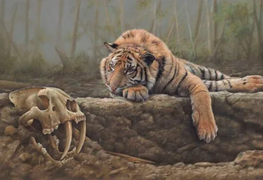 Wildlife paintings by artist Eric Wilson