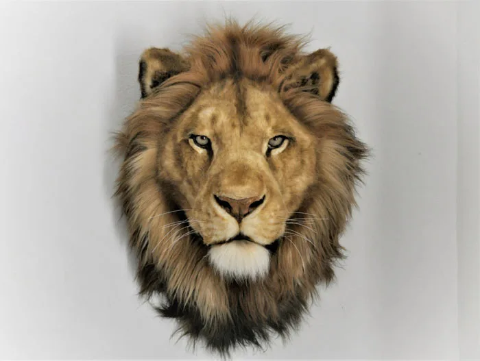 Lion Head Mount Replica by Artist Ami Zarug 
