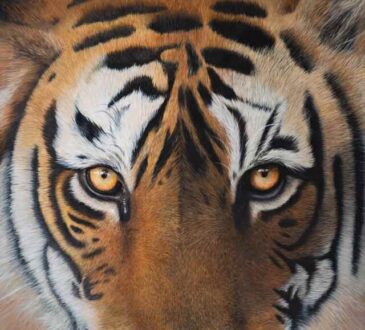Tiger painting by Sophie Green
