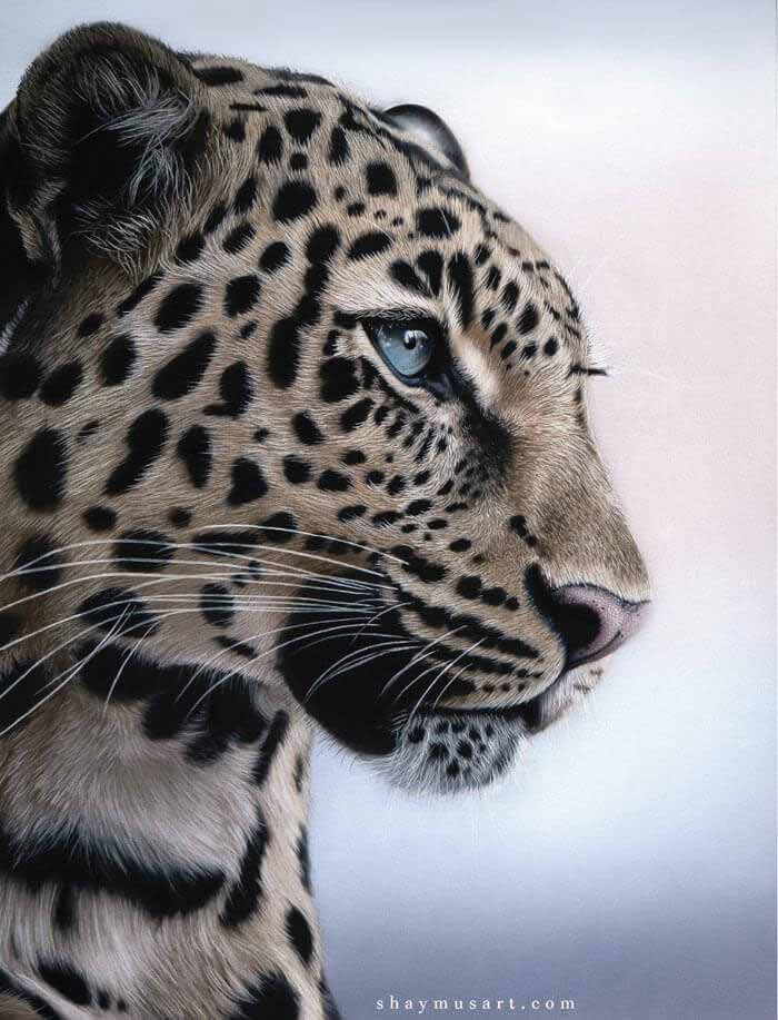 Incredible realistic leopard realistic drawing