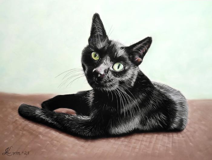Black cat realistic drawing
