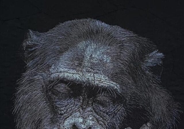 Dr Jane Goodall Textile artist