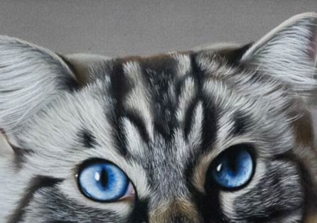 Realistic cat portrait drawing