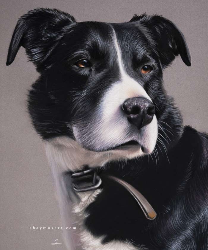 Amazing realistic dog portrait