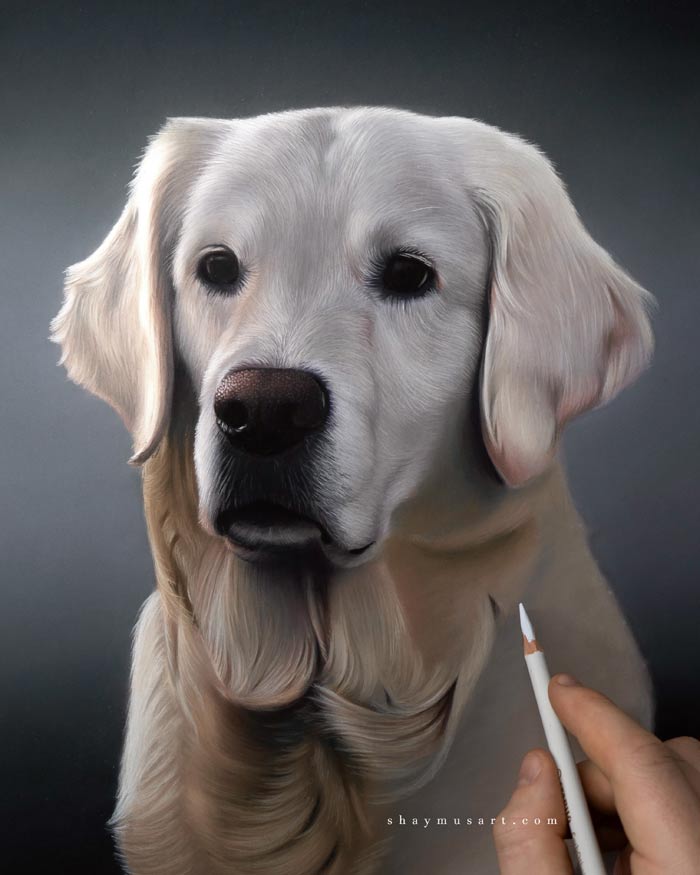 Hyper realistic pet portrait