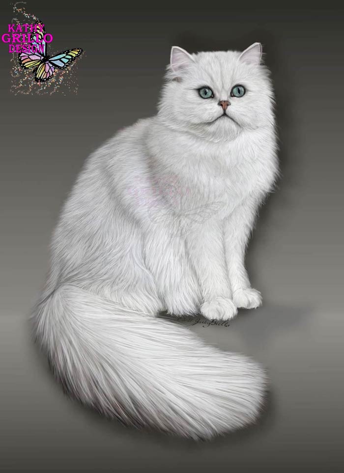 Cute cat digital art by Kathy Grillo