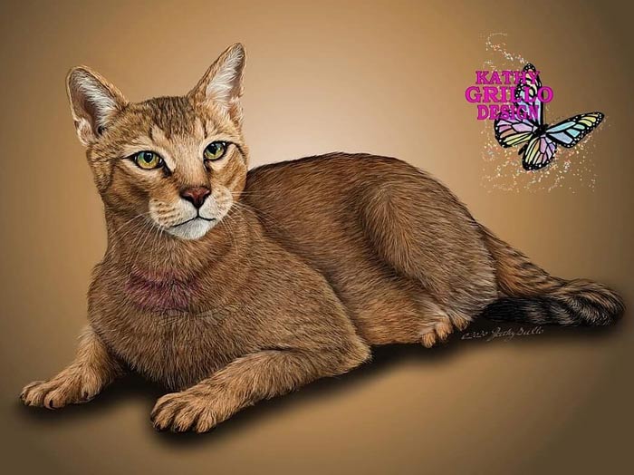 Jungle cat digital painting by Kathy Grillo