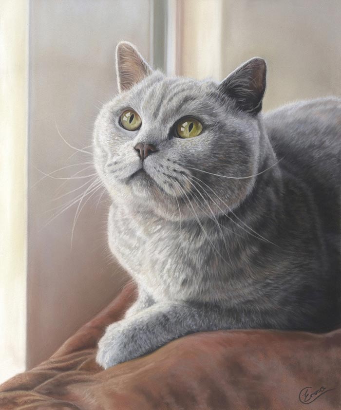 British Cat in Soft Pastel