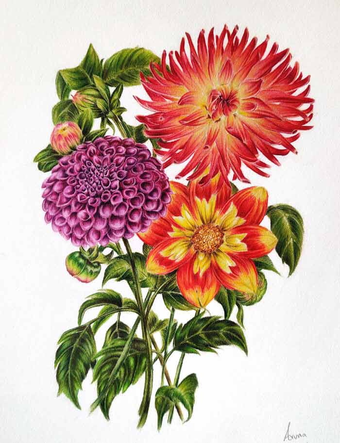 colorful drawings of flowers