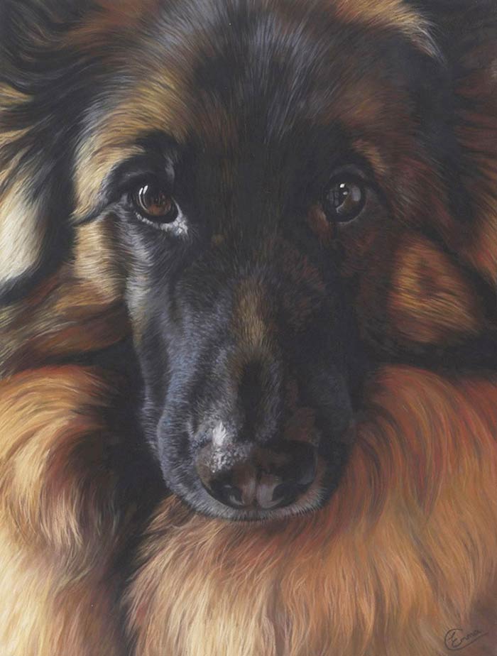 Soft pastel animal and landscapes drawings by Emma Colbert