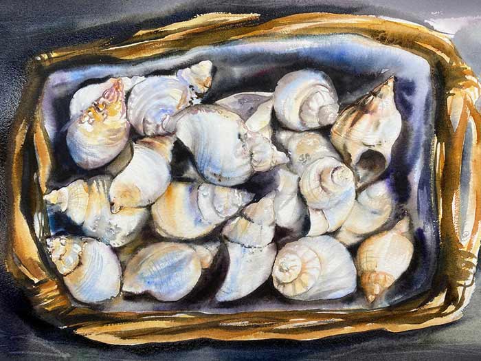 Lots of shells watercolor painting by Maria Raczynska