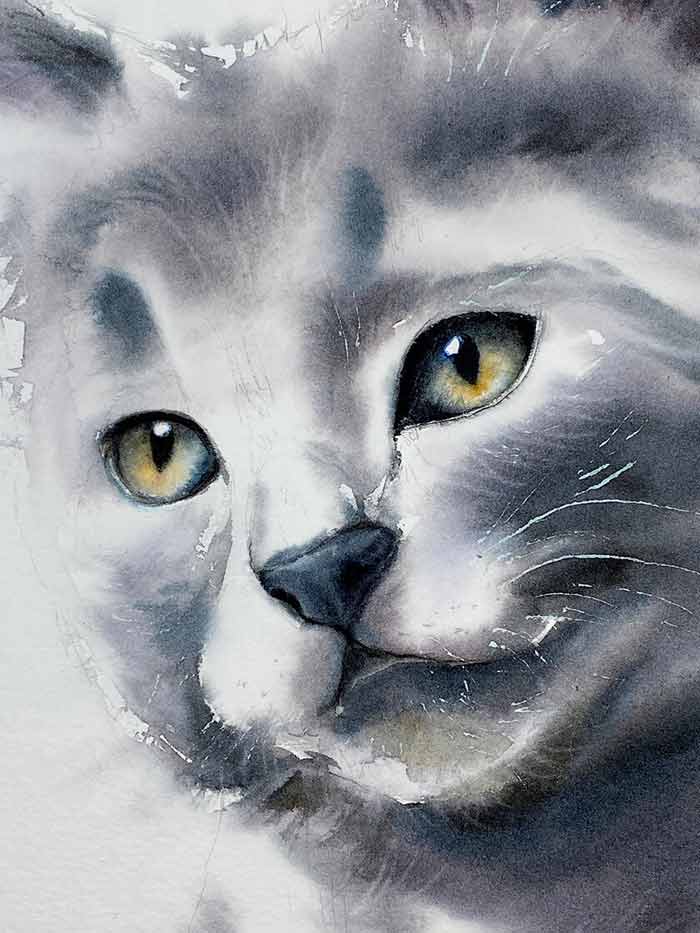Cat watercolor painting by Maria Raczynska