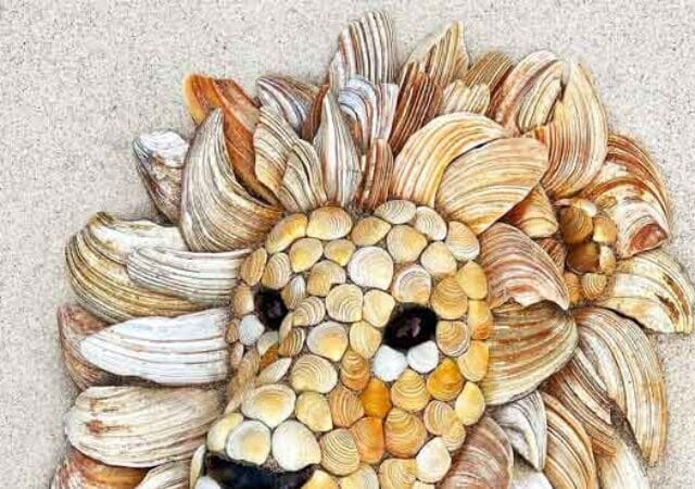 Create a King of the Jungle in the sand with seashells