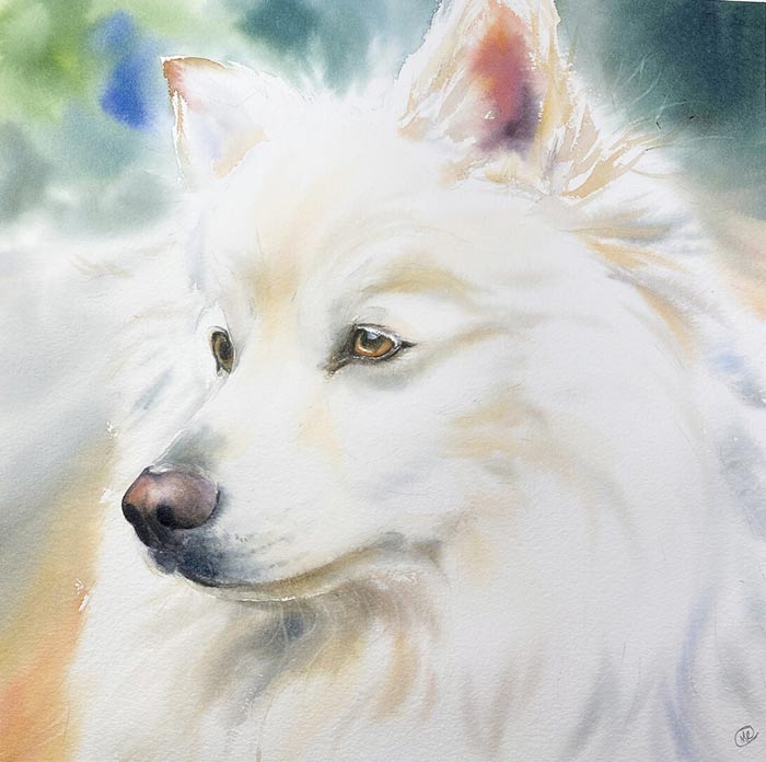 Dog painting with watercolor by Maria Raczynska