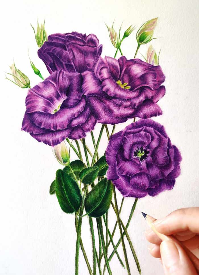 CLASS101+ | How to Draw Flowers, Teasets and Food: Colored Pencil Drawing  Class