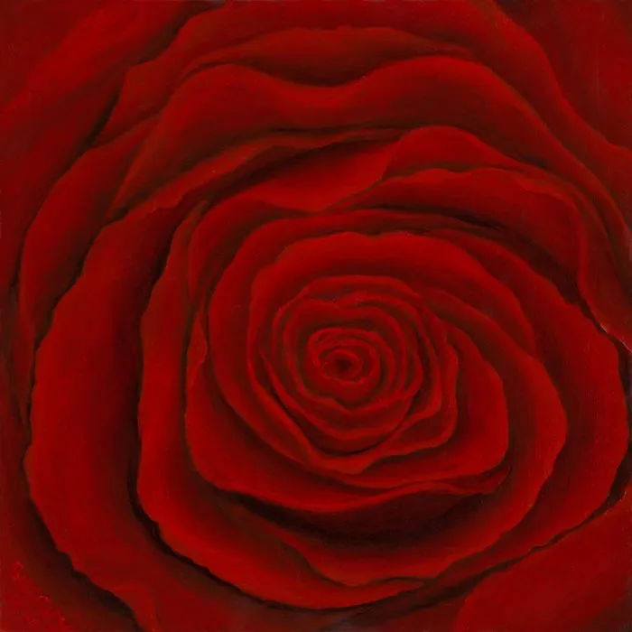 Red Velvet Rose Acrylic and Oil on Wood Panel by Sherry Farsad