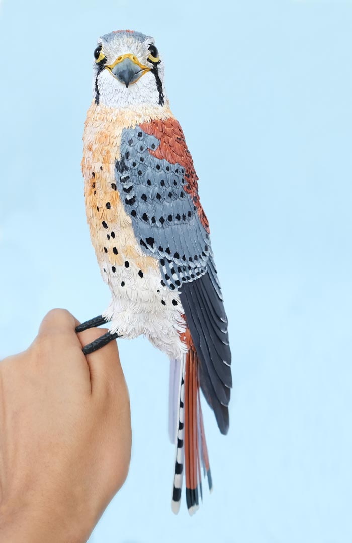 American Kestrel Bird Paper Craft