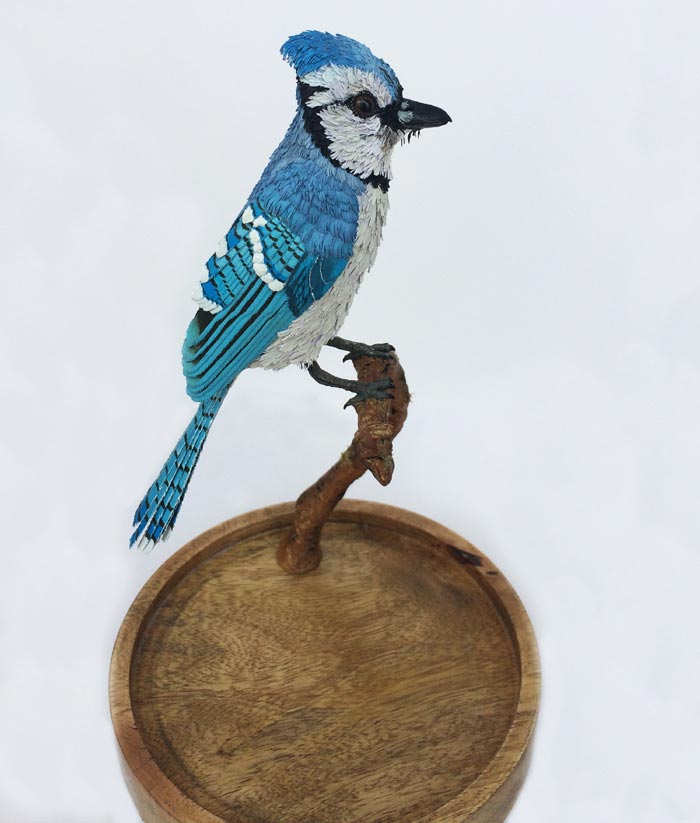 Blue jay Bird Paper Sculpture
