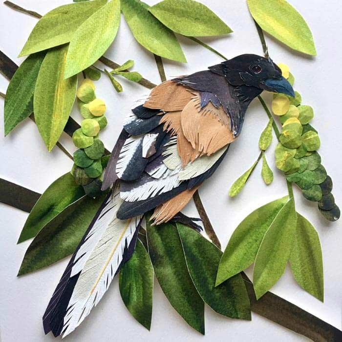 Suplina Tiger Bird Paper Art by Sarah Suplina