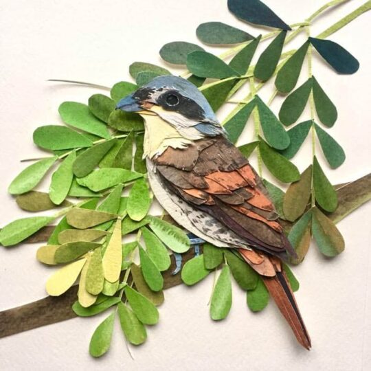 Sarah Suplina Paper Artist and Art Teacher on Trendy Art Ideas