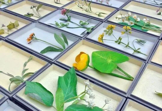 Linda Hamilton handmade Paper Wildflowers