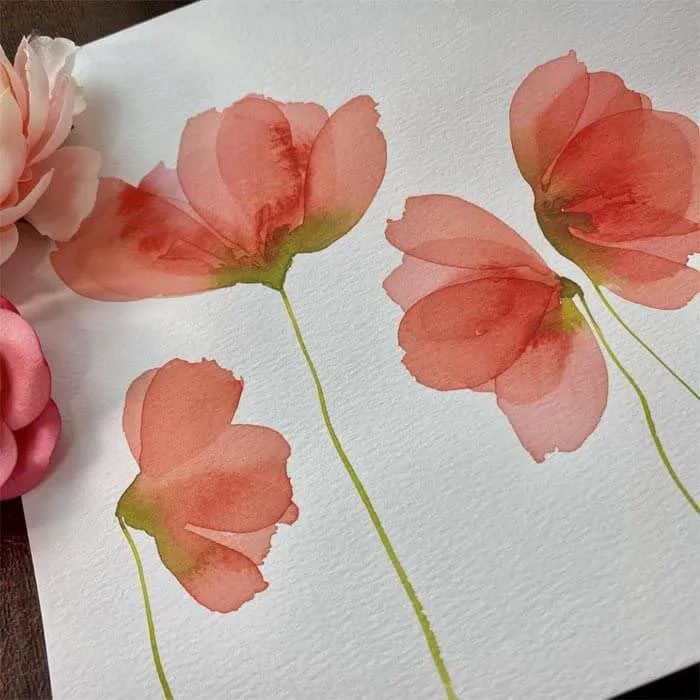 Translucent watercolor rose flower by Shellie Sylla